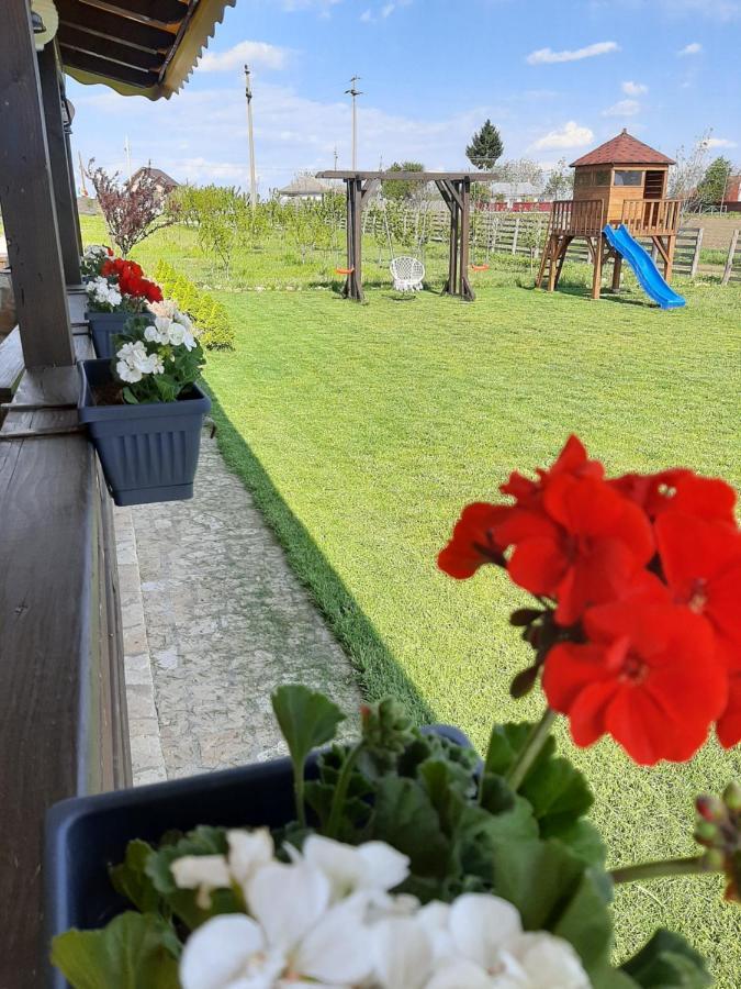 ホテル Dor De Casa Doljeşti エクステリア 写真