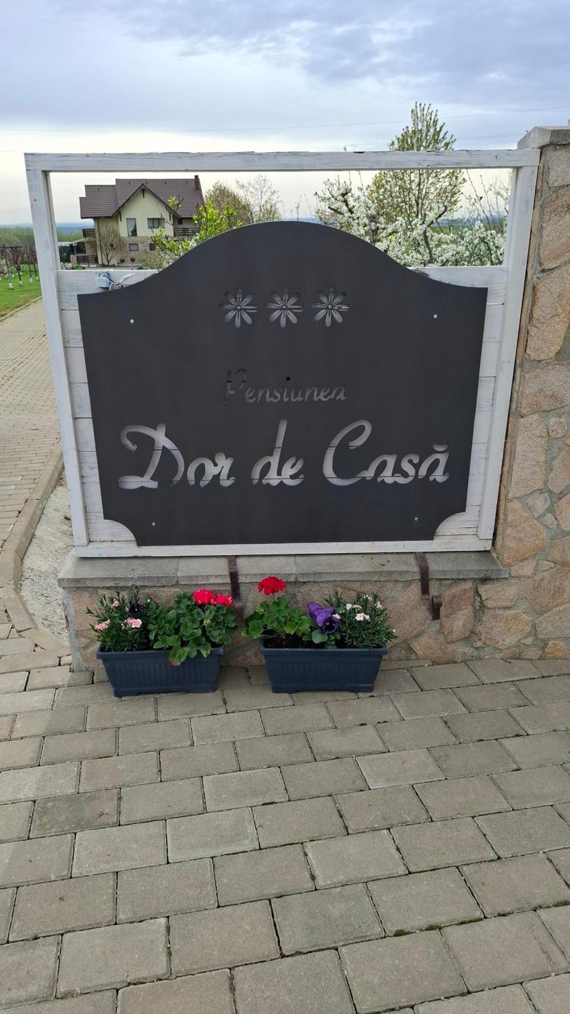 ホテル Dor De Casa Doljeşti エクステリア 写真